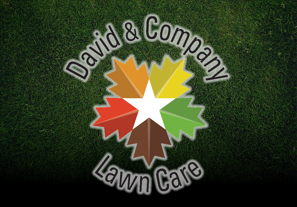 David & Company Lawn Care